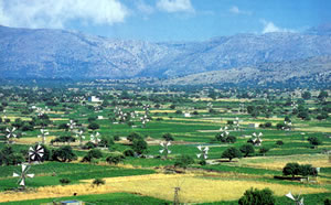 lasithi-plateau